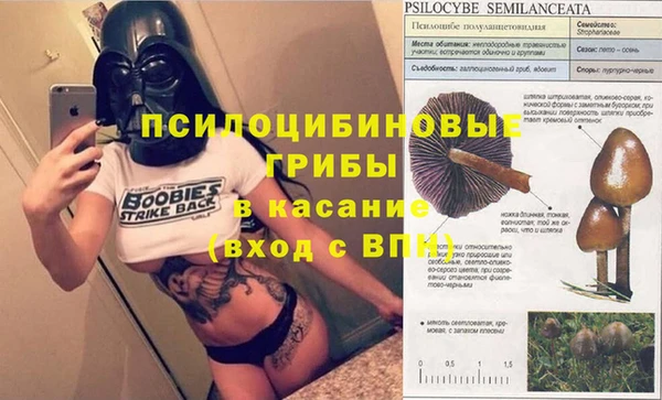 MESCALINE Пестово