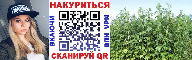 Бошки марихуана гибрид Чадан